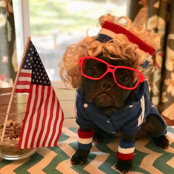 Meet your Posher, Trilby - Picture 7 of 8